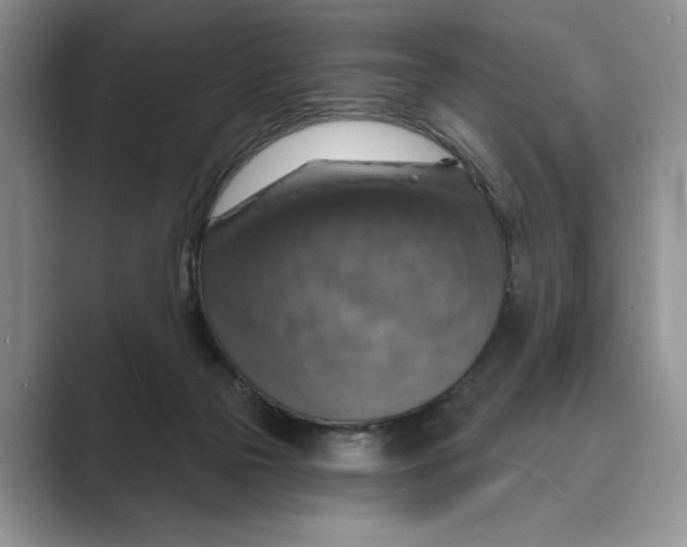 X0000088850169200707061039