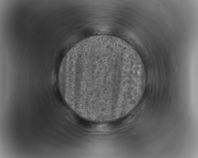 X0000088850173200707061039