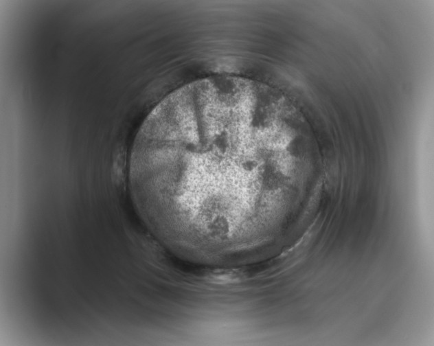 X0000088850175200707061039
