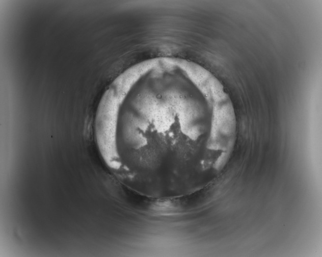 X0000088850177200707061039