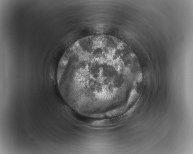 X0000088850178200707061039