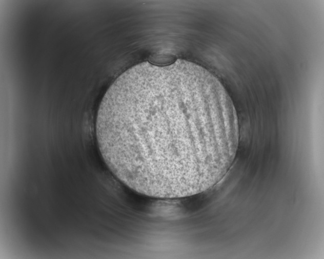 X0000088850179200707061039