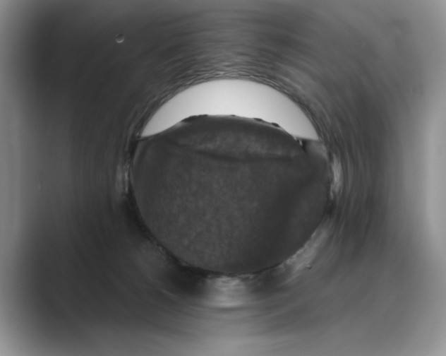 X0000088850180200707061039