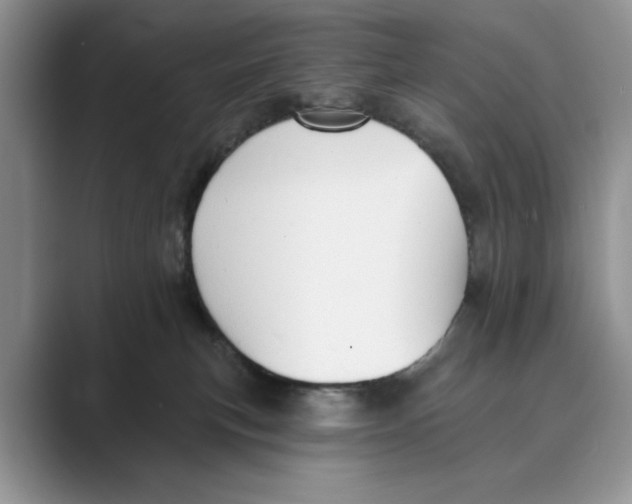 X0000088850183200707061039