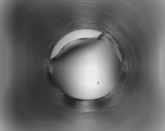 X0000088850184200707061039