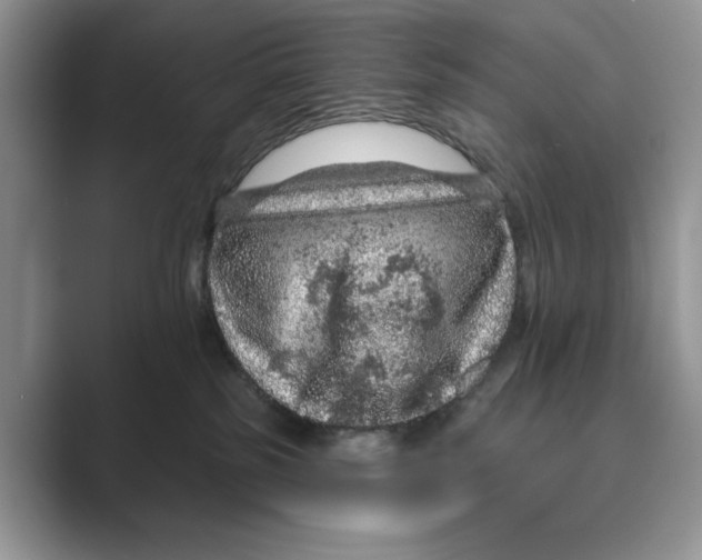 X0000088850185200707061039