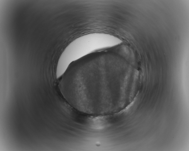 X0000088850186200707061039