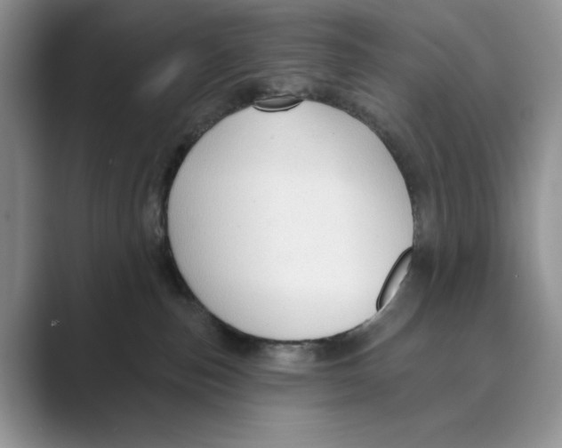 X0000088850187200707061039