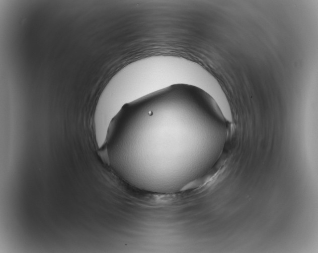 X0000088850188200707061039
