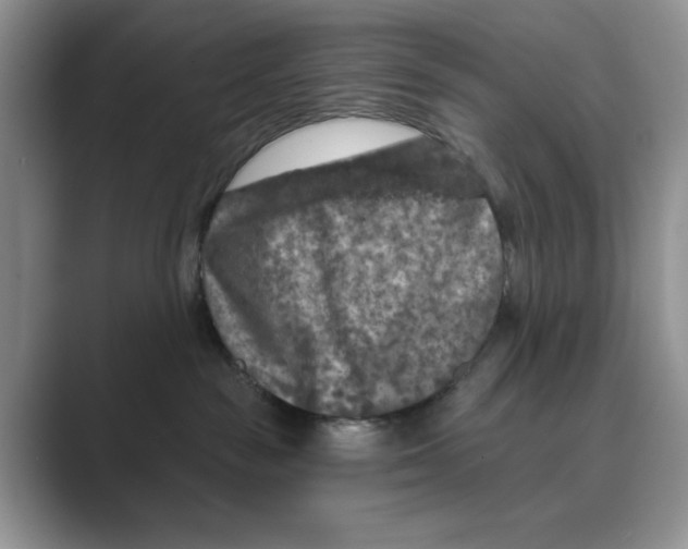 X0000088850189200707061039