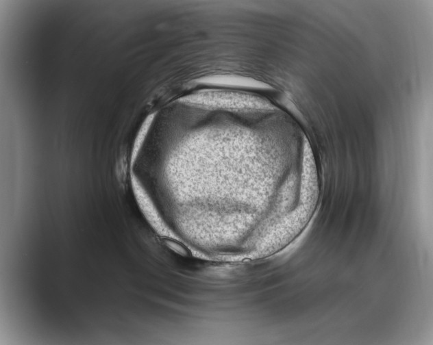 X0000088850190200707061039