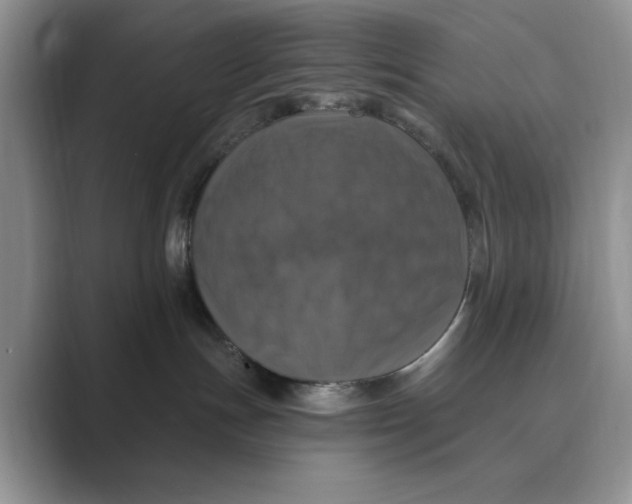 X0000088850191200707061039