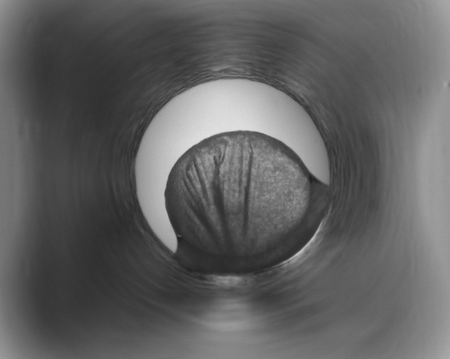 X0000088850192200707061039