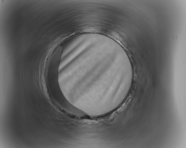 X0000088850193200707061039