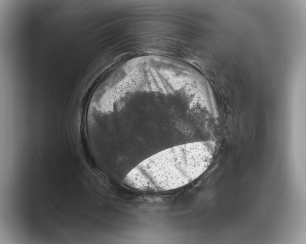 X0000088850194200707061039