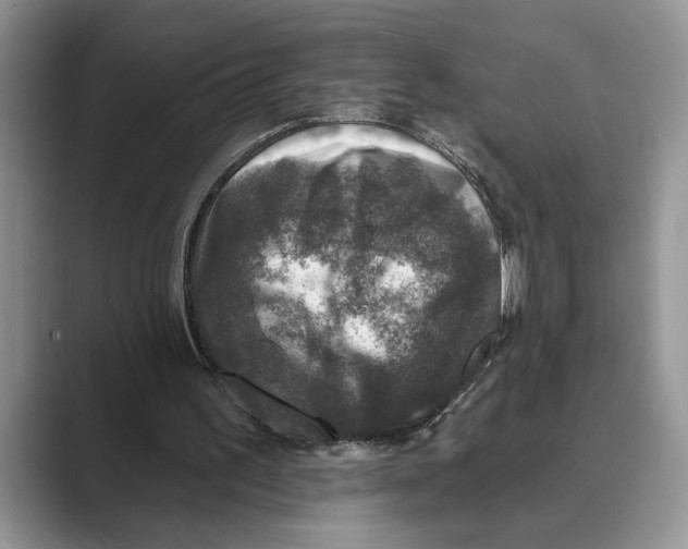 X0000088850195200707061039