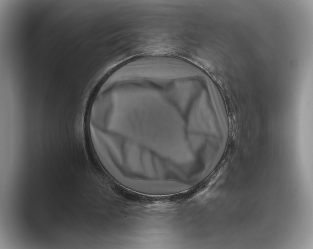 X0000088850196200707061039