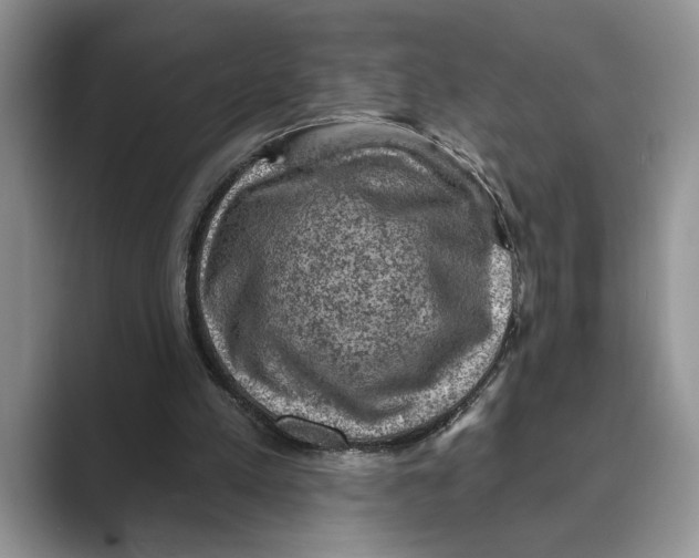 X0000088850197200707061039
