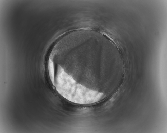 X0000088850198200707061039