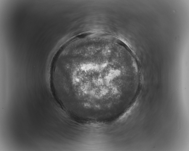 X0000088850199200707061039
