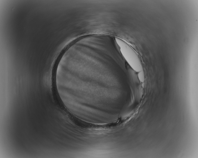 X0000088850200200707061039