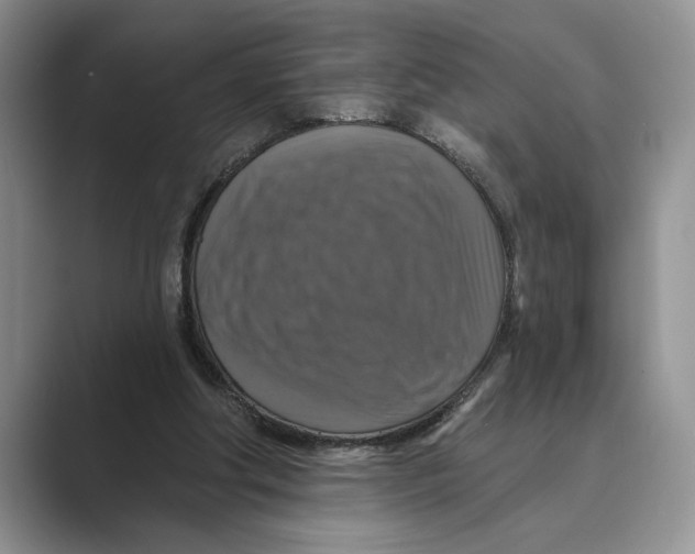 X0000088850202200707061039