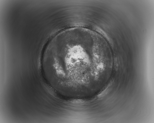 X0000088850203200707061039