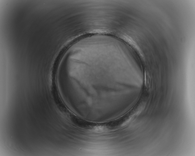 X0000088850204200707061039