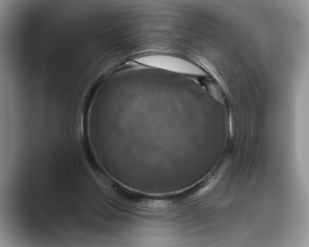 X0000088850205200707061039