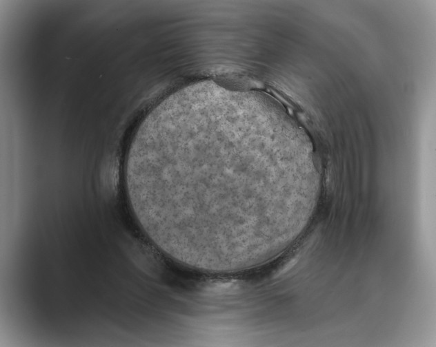 X0000088850206200707061039