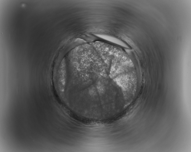 X0000088850207200707061039