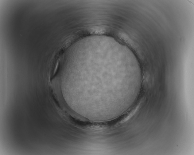X0000088850209200707061039