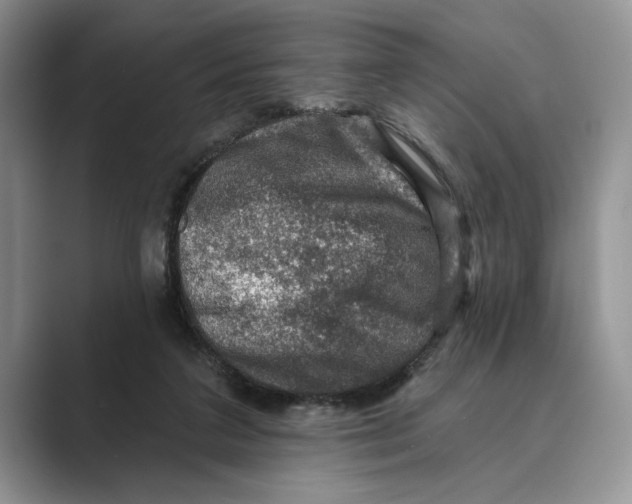 X0000088850211200707061039