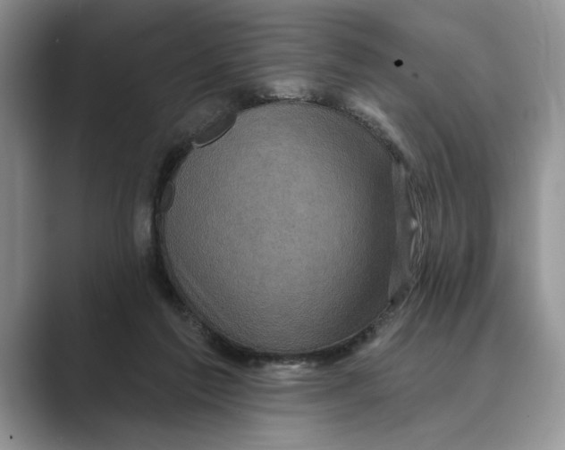 X0000088850213200707061039