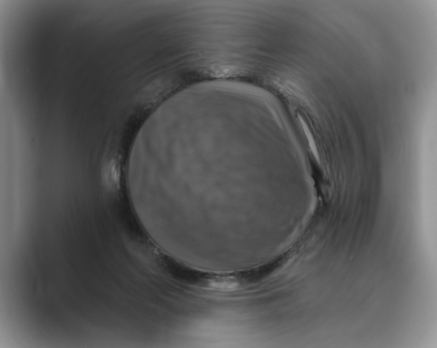 X0000088850214200707061039