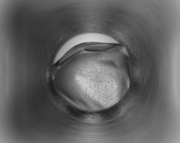 X0000088850215200707061039