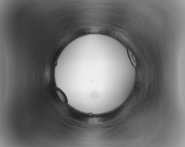 X0000088850216200707061039
