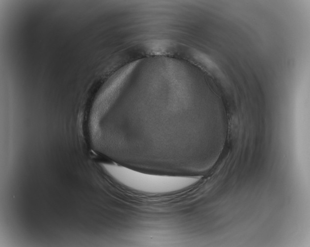 X0000088850217200707061039