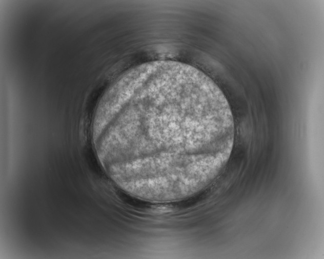 X0000088850218200707061039