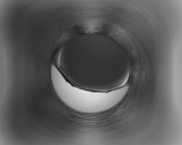 X0000088850219200707061039