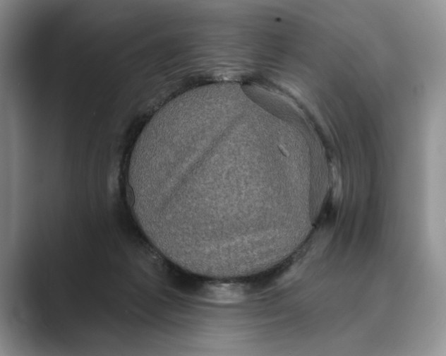 X0000088850221200707061039