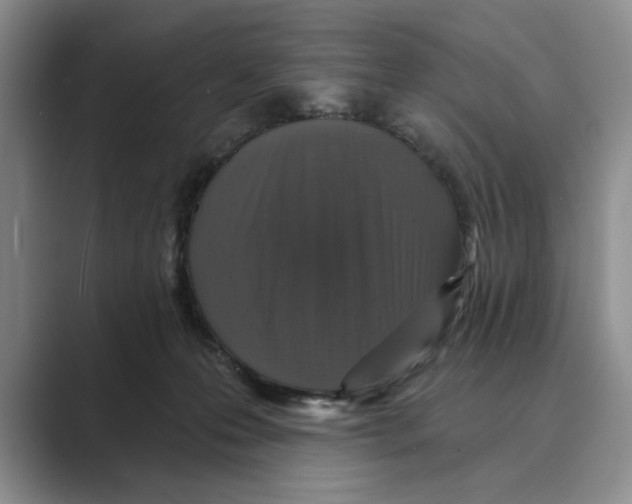 X0000088850223200707061039