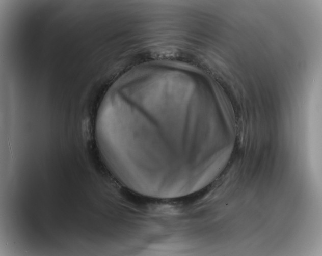 X0000088850224200707061039