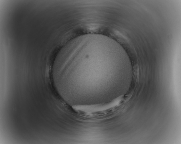 X0000088850225200707061038