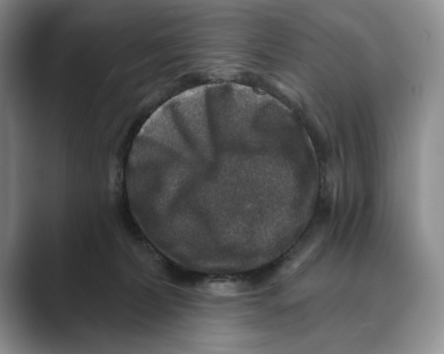 X0000088850228200707061038