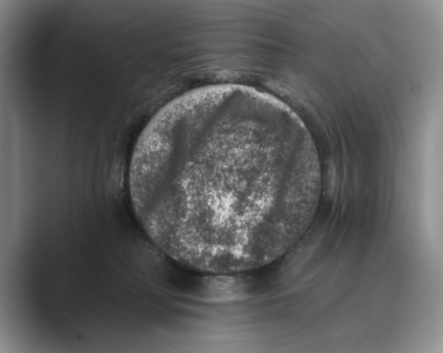 X0000088850230200707061038