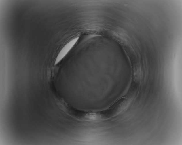 X0000088850231200707061038