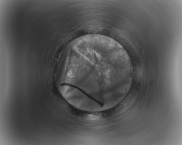 X0000088850232200707061038