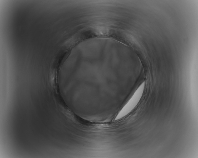 X0000088850233200707061038