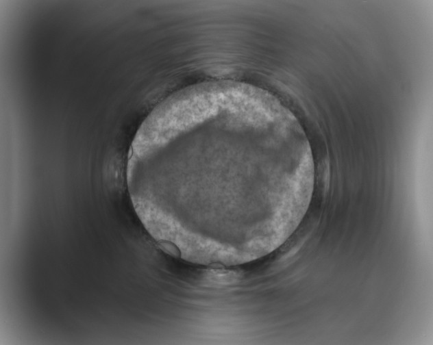 X0000088850234200707061038